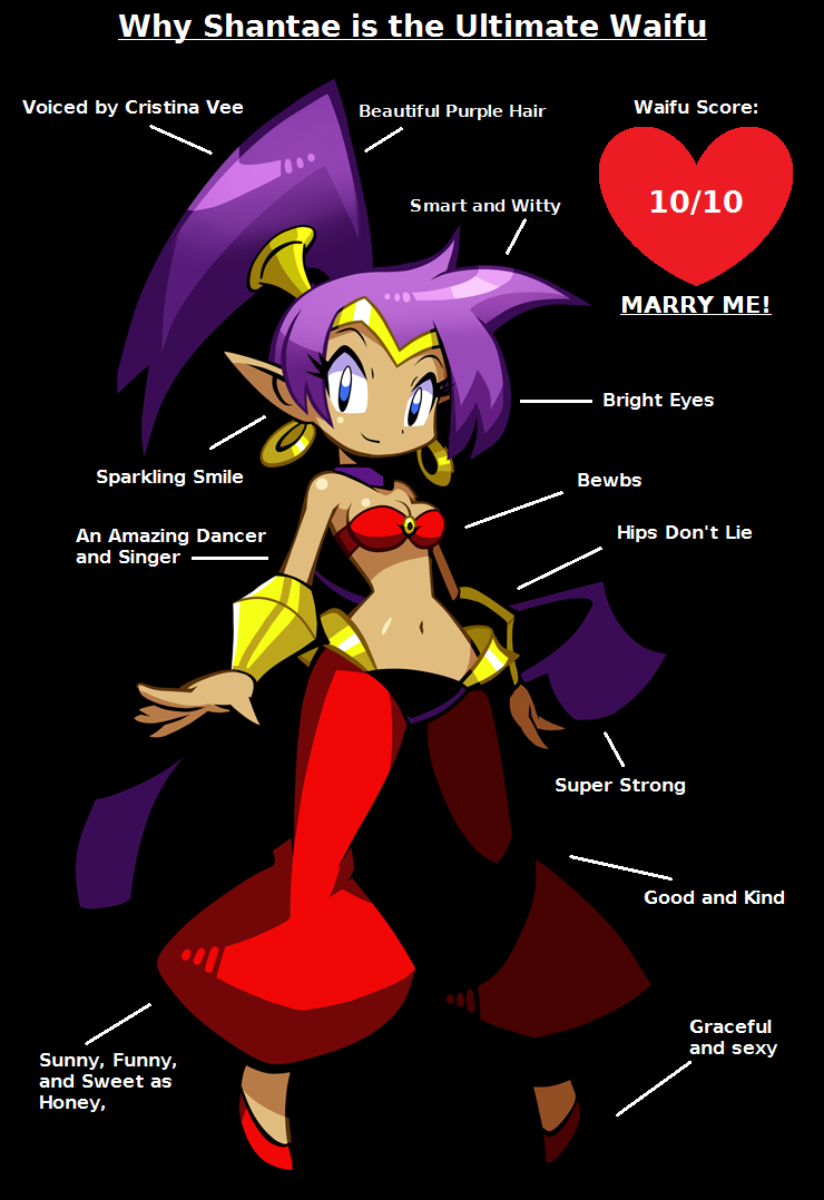 why_shantae_is_the_ulitimate_waifu_by_claire_petal_splash-dbo05oi.png