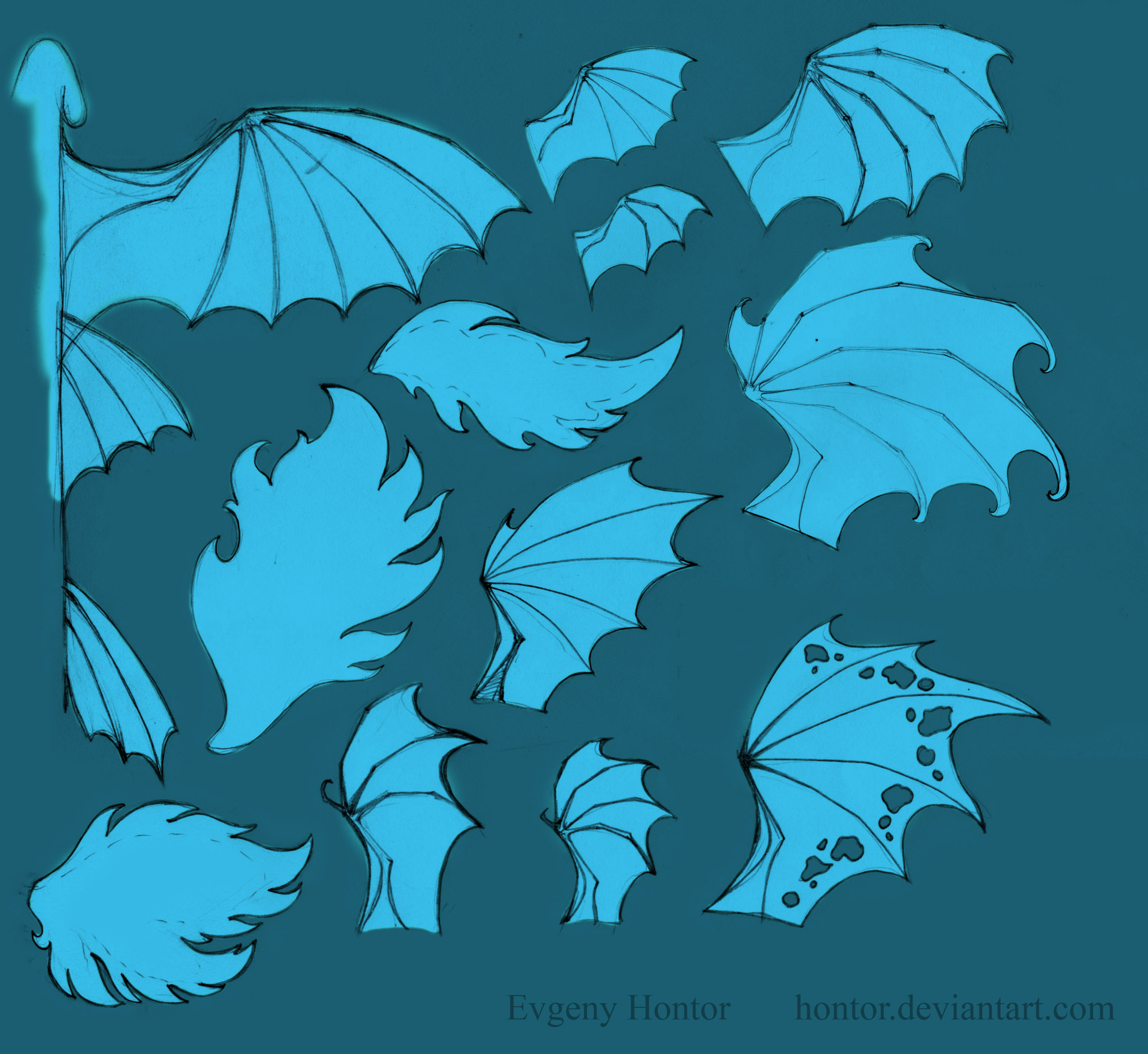 Free use dragon wings patterns by hontor on DeviantArt