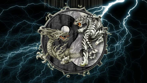 tiger_dragon_yin_yang_by_stitchfan001.jpg