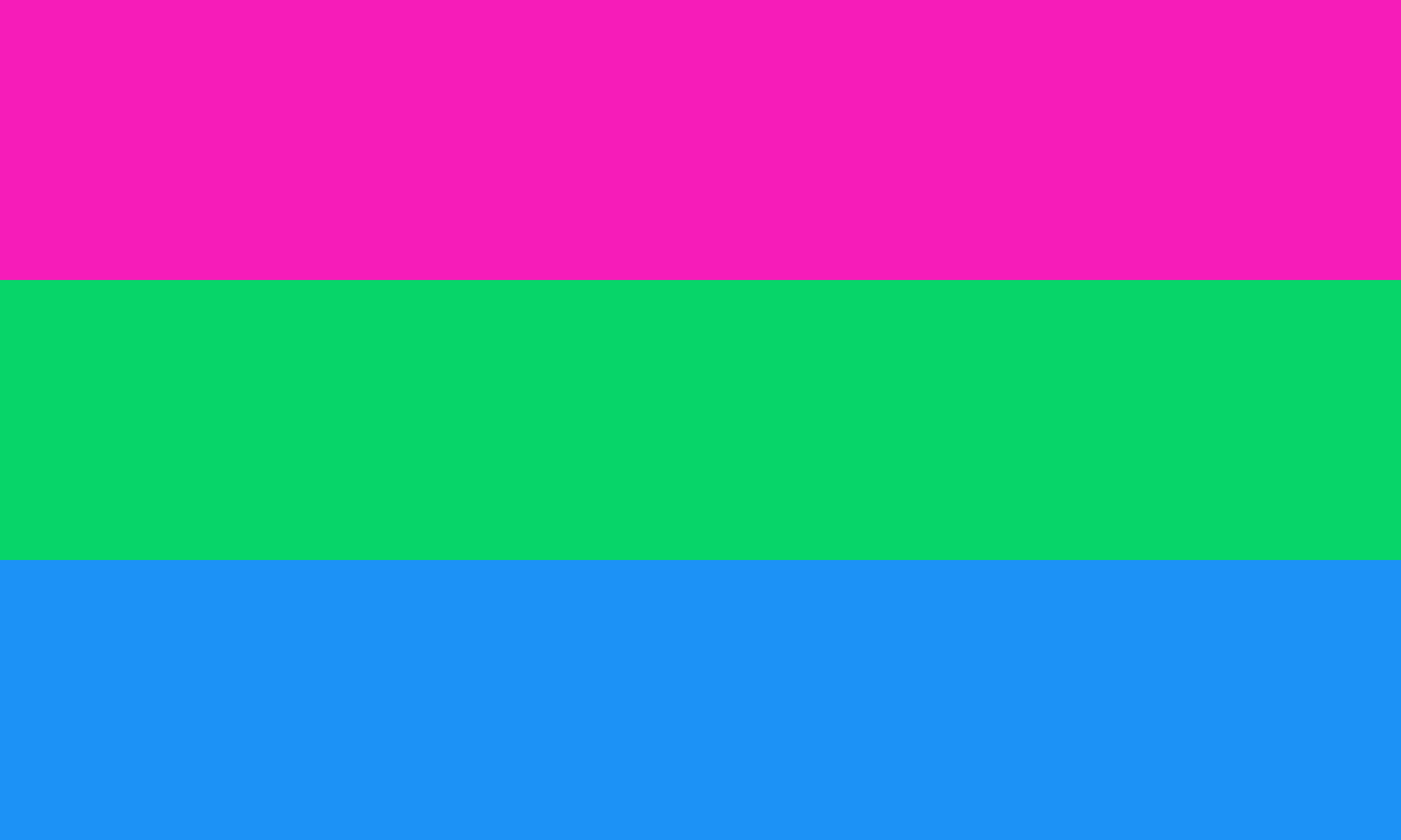 poly___1__by_pride_flags-d8zu7ww.png