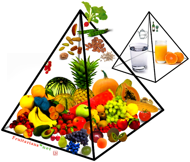 VÃ½sledek obrÃ¡zku pro fruitarian pyramid