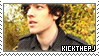 KickThePj Stamp 2 by Fruitily