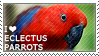 I love Eclectus Parrots [female version] by WishmasterAlchemist