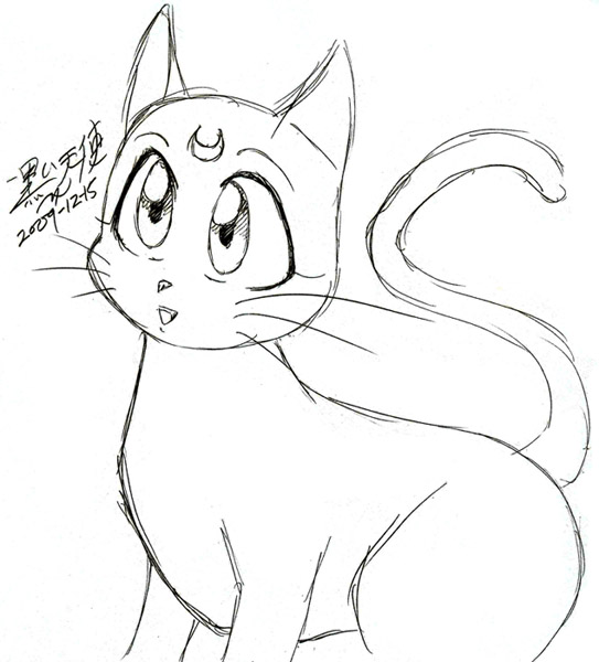Luna Cat Sketch by kuroitenshi13 on DeviantArt