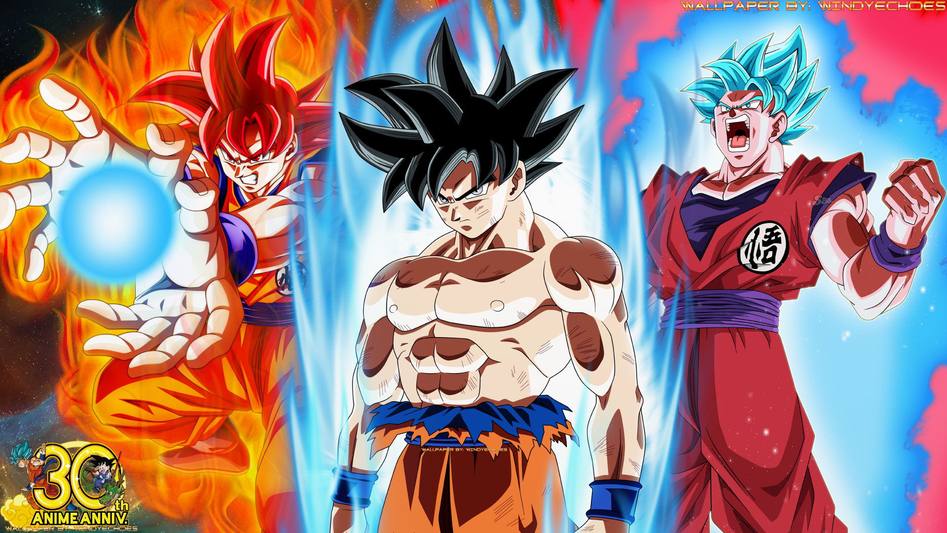 Goku Super Saiyan God - All Three Transformations by WindyEchoes on