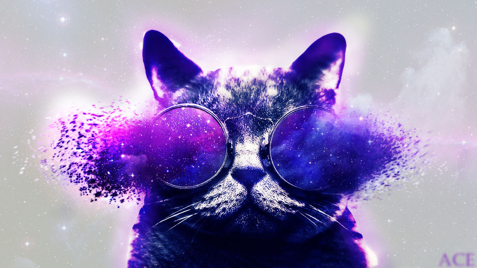 Galaxy - The Cat by AceNotAce on DeviantArt