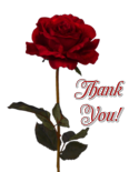 Thank You Red Rose By Audramblackburnsart-d8ai0b7 by AusWolf666