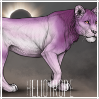 heliotrope_by_usbeon-dbumwf2.png