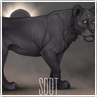 soot_by_usbeon-dbumwbu.png