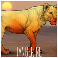 tangerine_by_usbeon-dbumx6y.png