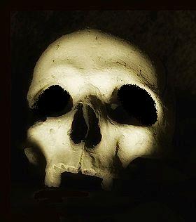 600px-Skull 3, foto Augusto De Luca by BrunoKopte