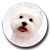 Icon - Sweet Dog