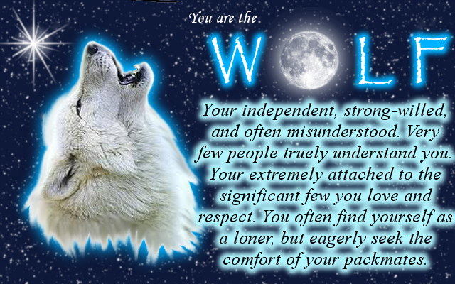 My Spirit Animal by Shay-Wolf