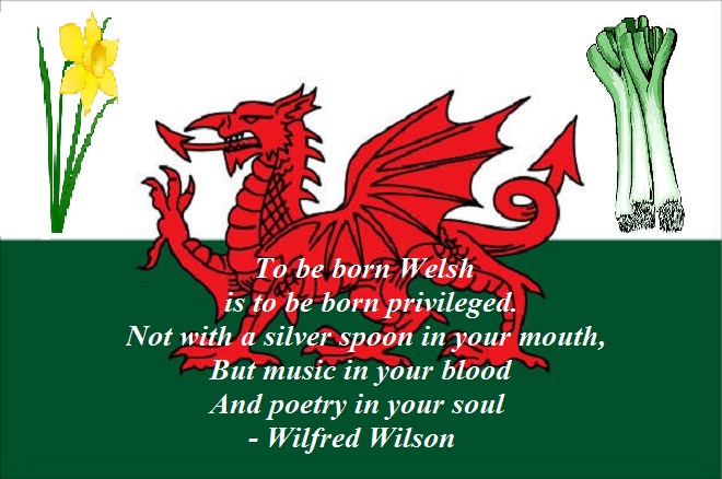Image result for to be born welsh