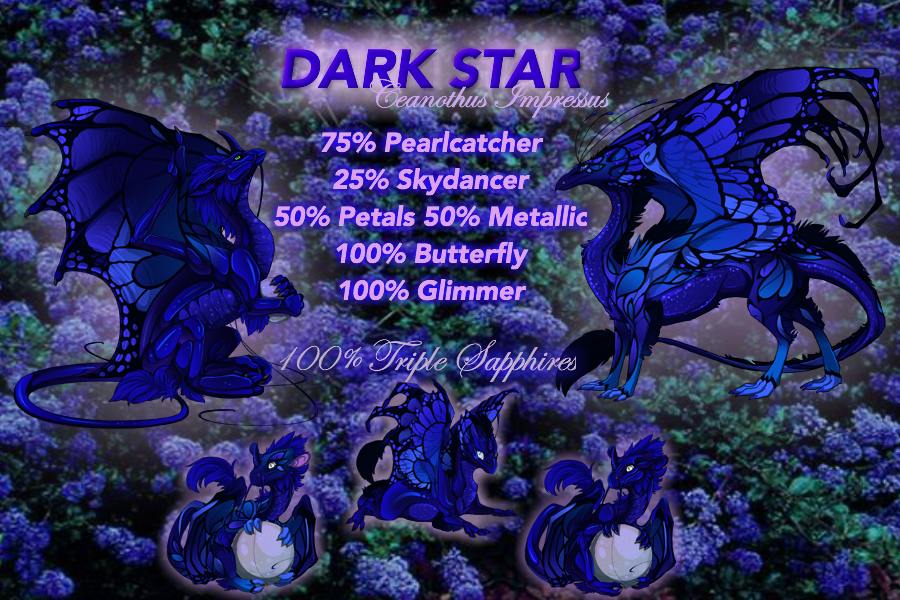 dark_star_sapphires_by_flighthatchery-dc87bxa.jpg