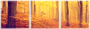 autumn_forest_by_misstoxicslime-dba6spq.