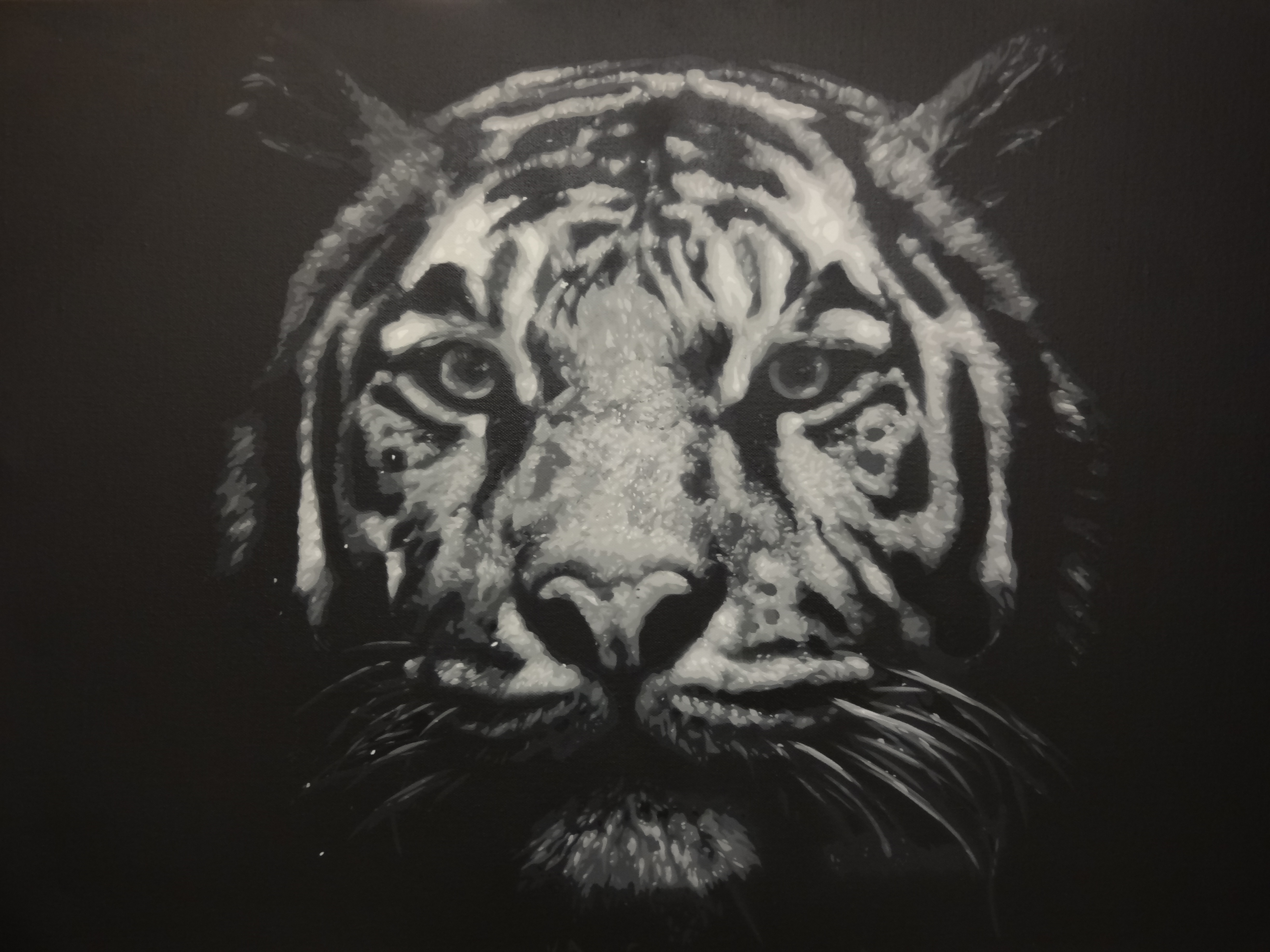 Tiger Multi Layer Stencil by cbstencils on DeviantArt
