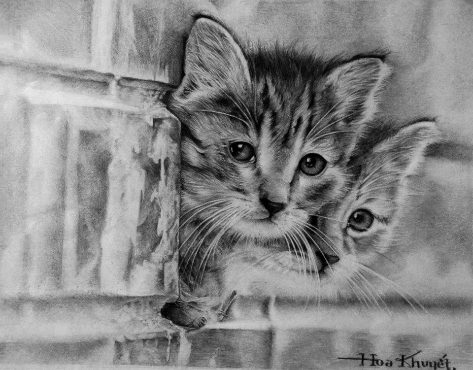 cute_cat_drawing_by_gattanday-d61jfp7.jpg