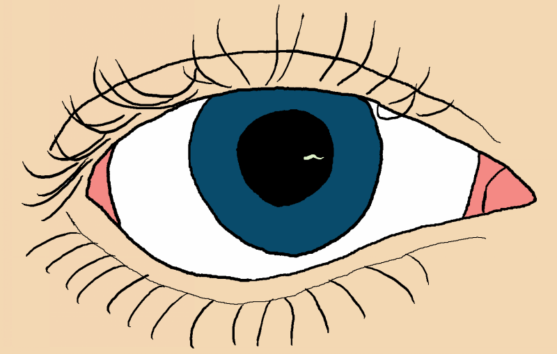 Eye Worm GIF by thestalkinghead on DeviantArt