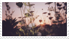 F2U sunset flowers stamp by poppychu
