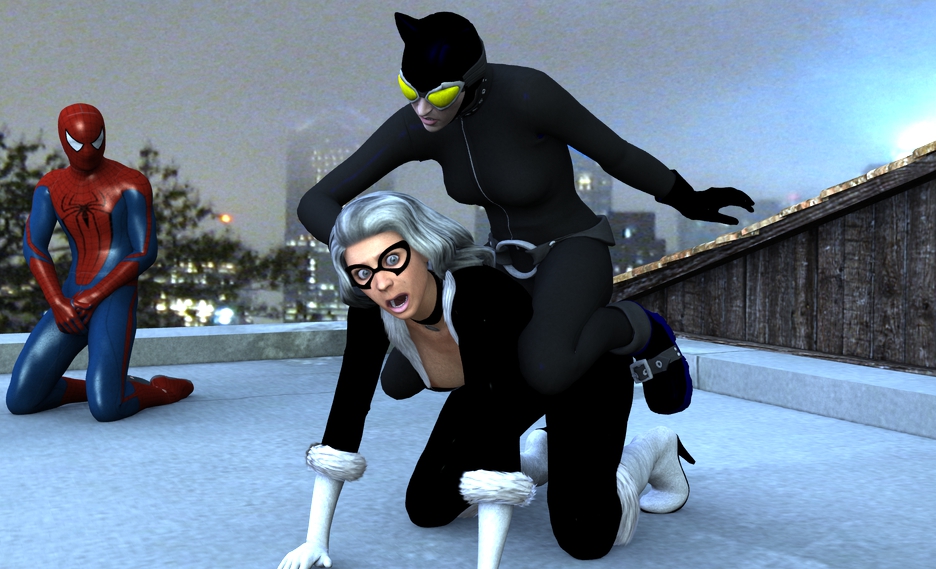 Catwoman Vs Black Cat 2 By Micklee99 On Deviantart