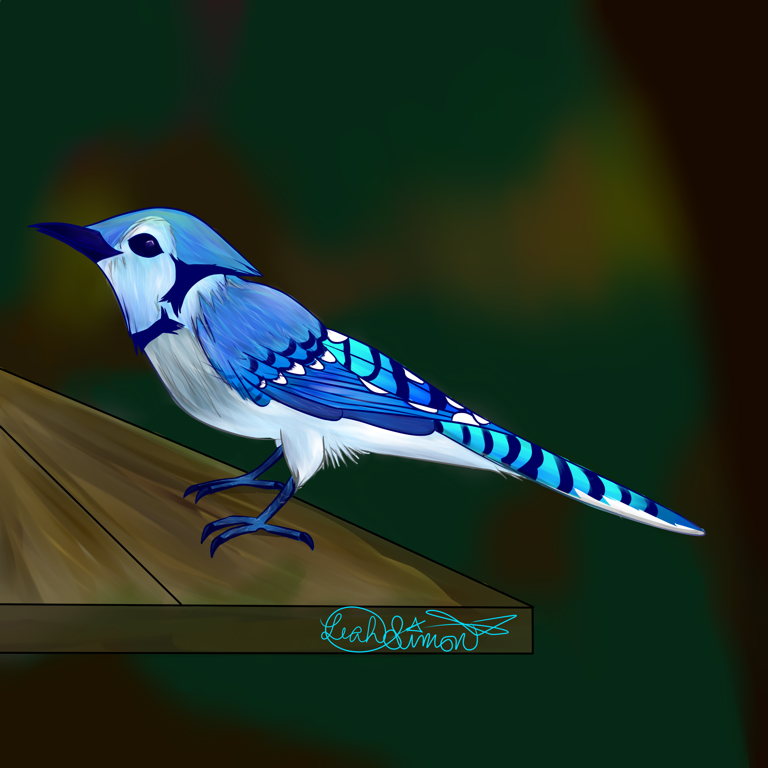 Blue Jay Drawing by HaloLeah on DeviantArt