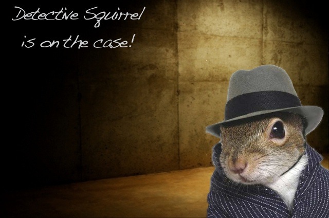 week 5 Blockbuster Ad (Can be shown anywhere) Detective_squirrel_by_koalapal-d4mnd0u