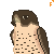 Icon for falcon5001 by LissyFishy