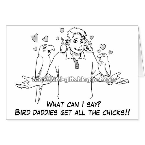 Bird daddies get all the chicks greeting card