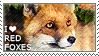 I love Red Foxes by WishmasterAlchemist