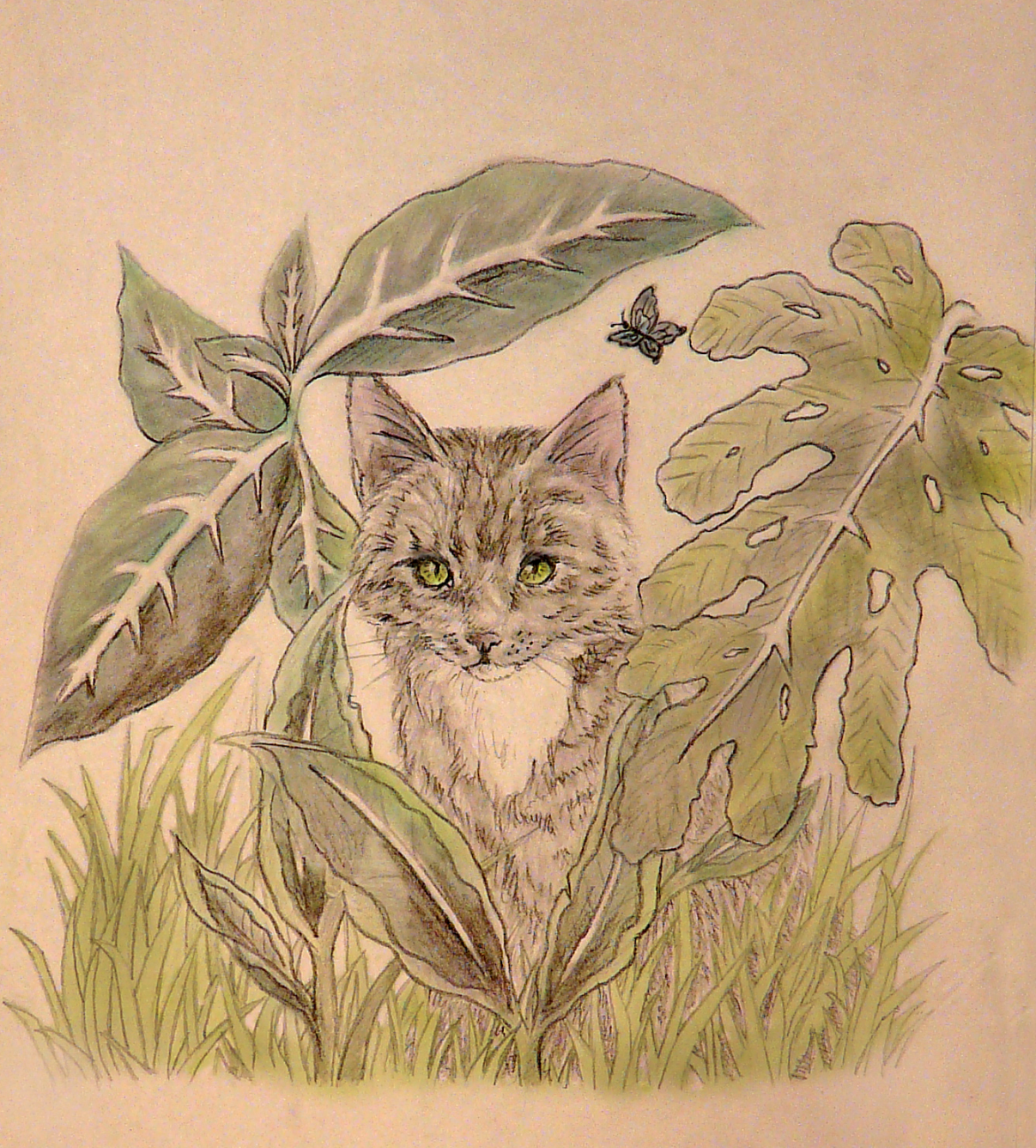 Colored Jungle Cat by SlowMatsu on DeviantArt