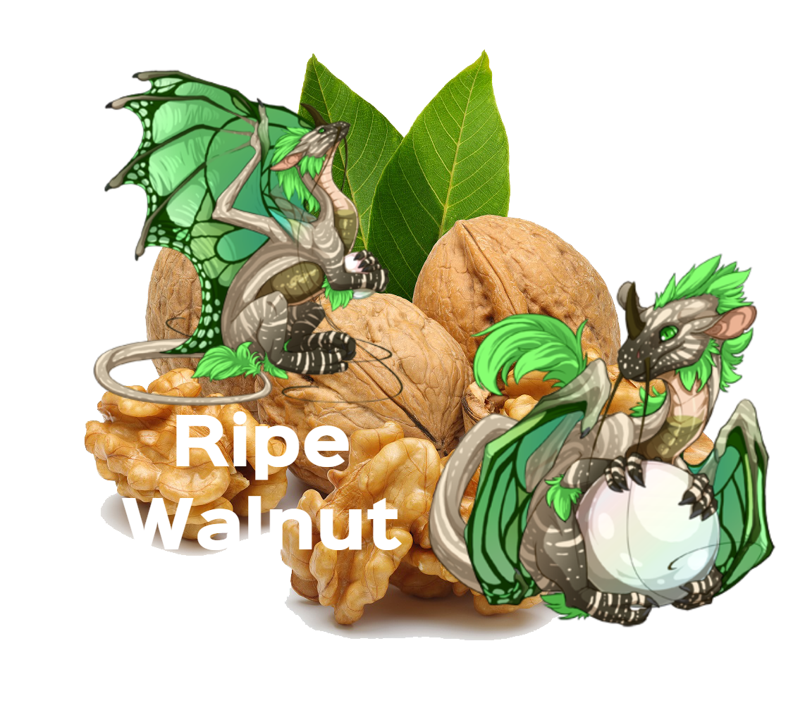 ripewalnut_by_sphxs-dcpudw3.png