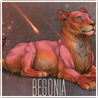 begonia_by_usbeon-dbumxiq.png