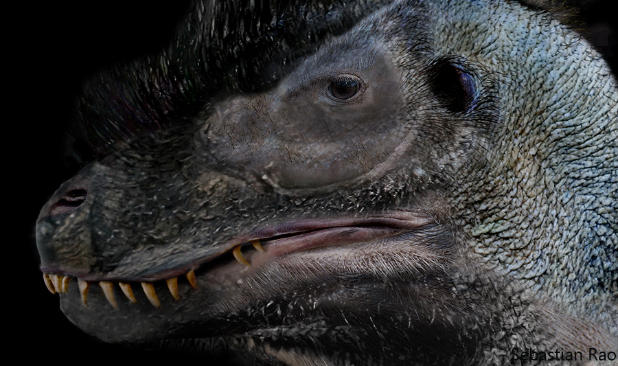 T-rex Ostrich2 by RAPTORAO on DeviantArt