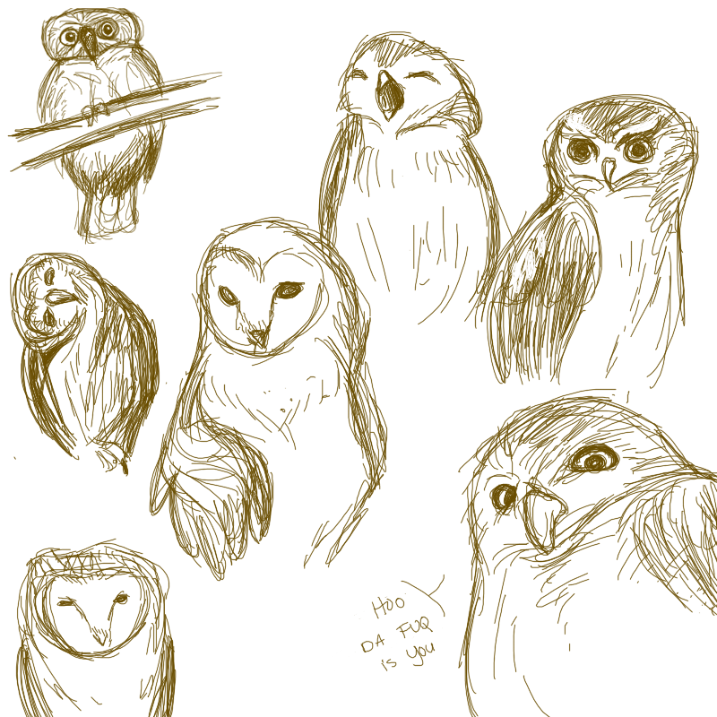 Owl sketches by socksyy on DeviantArt