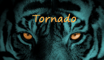 [Image: tornado_by_stormy_the_wolf-dasyb0j.jpg]