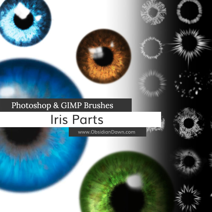 Iris Parts (Eyes) Photoshop and GIMP Brushes by redheadstock