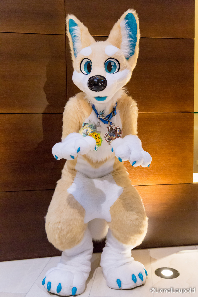 puppy_paws_by_sockune-d9ngtyz.jpg