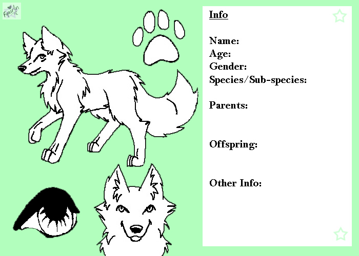 simple wolf ref sheet by draw-a-new-smile on DeviantArt