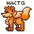 The Official HACTG Badge Orange