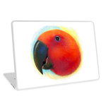 Eclectus Parrot Realistic Painting Laptop Skin