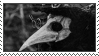 plague_doctor_002_by_bbagels-d78r1a4.png