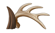 Antlers / Horns by EquusBallatorSociety