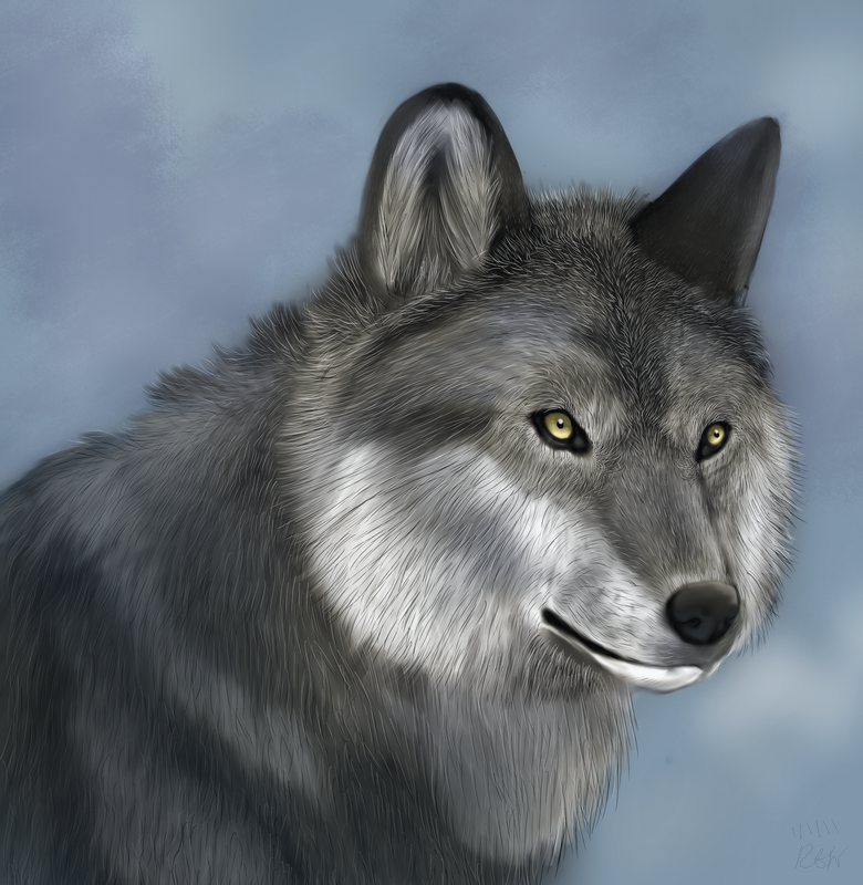 Test Realistic wolf by TickTockTheBoomBunny on DeviantArt