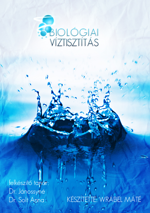 Phd thesis on water