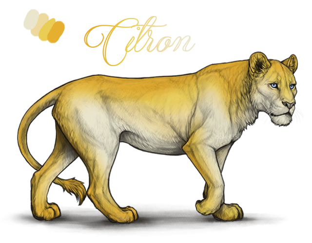 citronblurred_copy_by_usbeon-dbo23xp.png