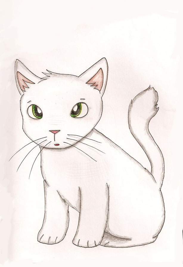 Anime Kitten by MusicMew on DeviantArt