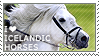 i_love_icelandic_horses_by_wishmasteralchemist-d35owgw.png