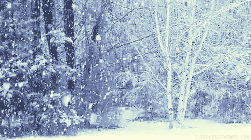 snow_by_sealkittyy-dcv1pdg.gif