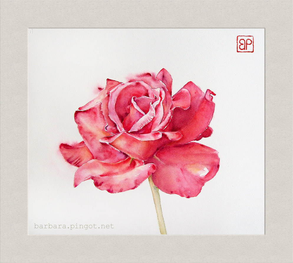 Rozane Zen\Rose Zen by stokrotas on DeviantArt